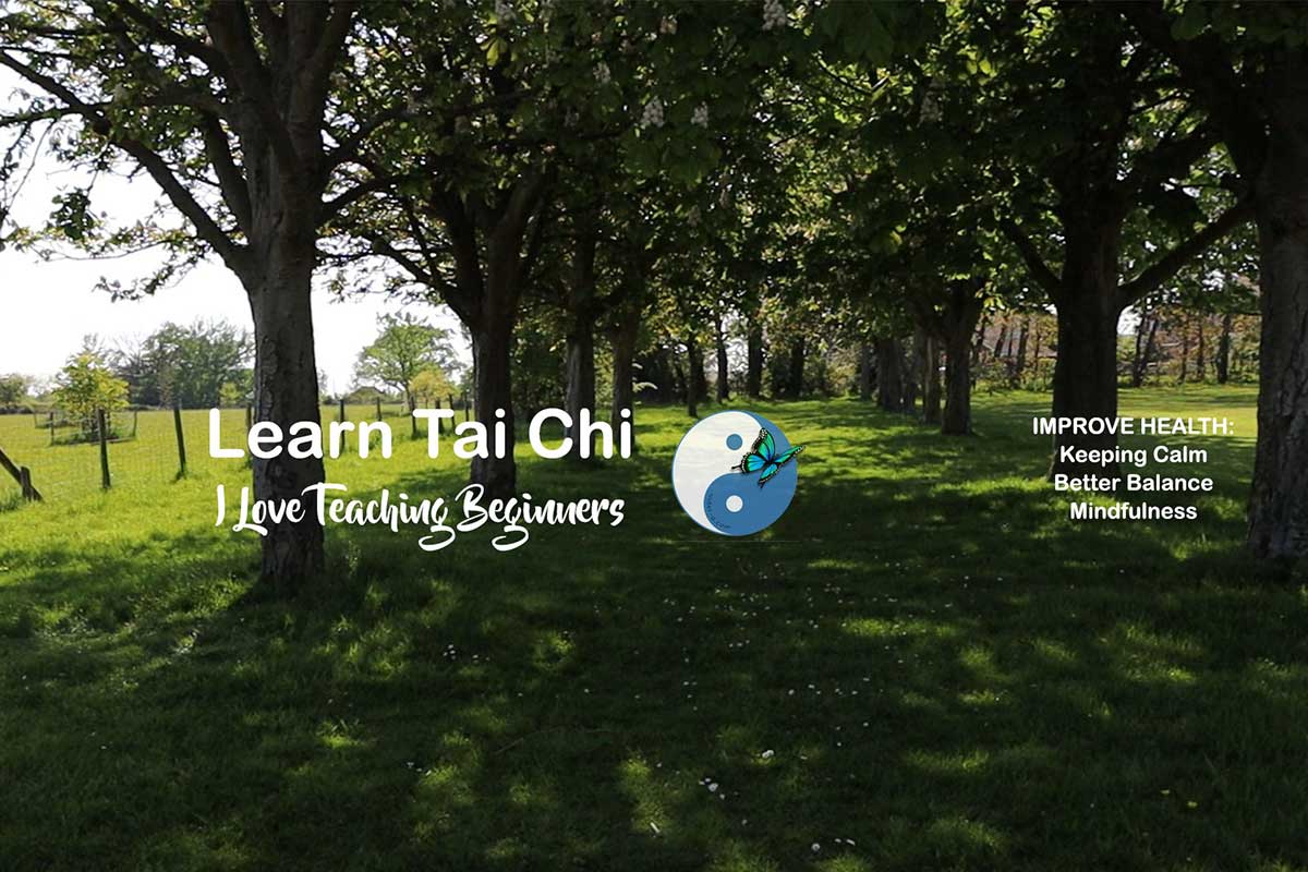 What is Tai Chi? How can you get started learning Tai Chi – Tai